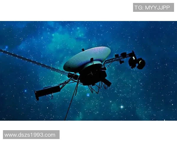 布拉尔的传奇旅程探索与发现背后的故事与启示 布拉尔的传奇旅程探索与发现背后的故事与启示