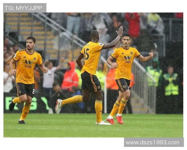 2018年狼队与伯明翰的激烈对决回顾与精彩瞬间分析